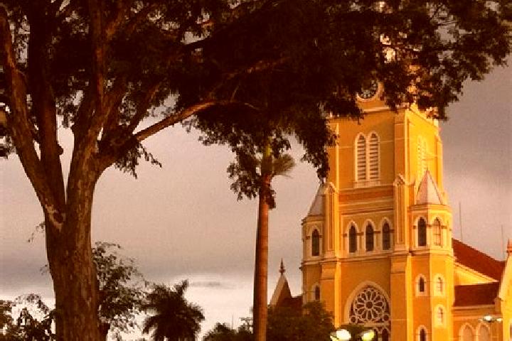 Sophia, 37 — Escort in Santa Rita, Brazil