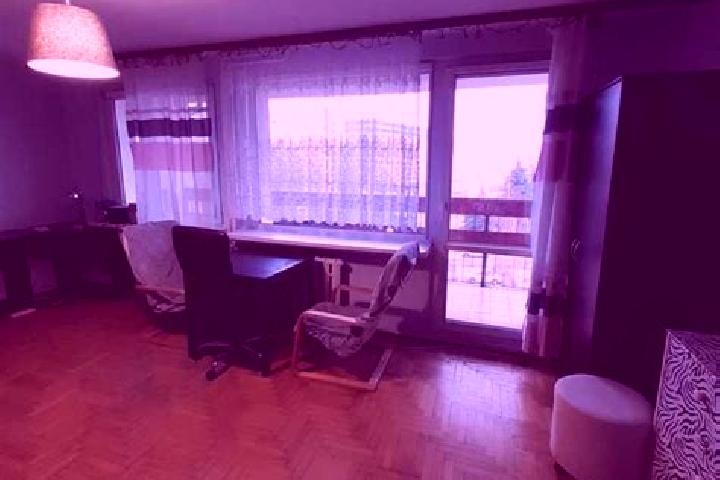 Sophia, 37 — Escort in Szczepin, Poland