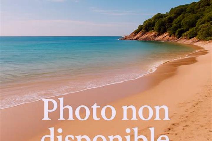 Sophia, 37 — Escort in Ver-sur-Mer, France