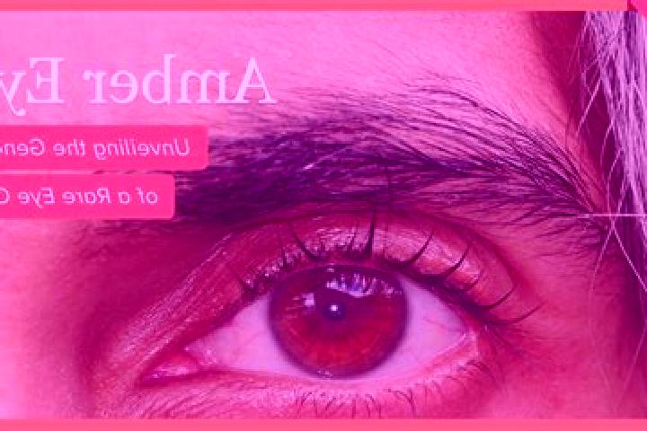Sophia, 38, a black amber-eyed mixed companion based in Chuanliao. Offering BDSM, 69, Massage, Dinner Date, GFE. Available for incall and outcall, day and ev...