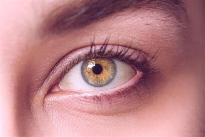 Sophia, 38, a chestnut hazel-eyed mixed companion based in Almirante Tamandare. Offering Fetish, Domination, Tantra. Available for incall and outcall, overni...