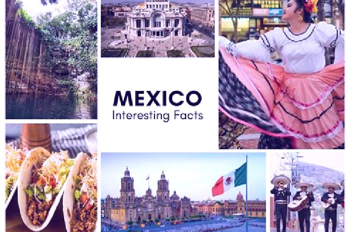 Sophia, 38 — Escort in Coacuilco, Mexico