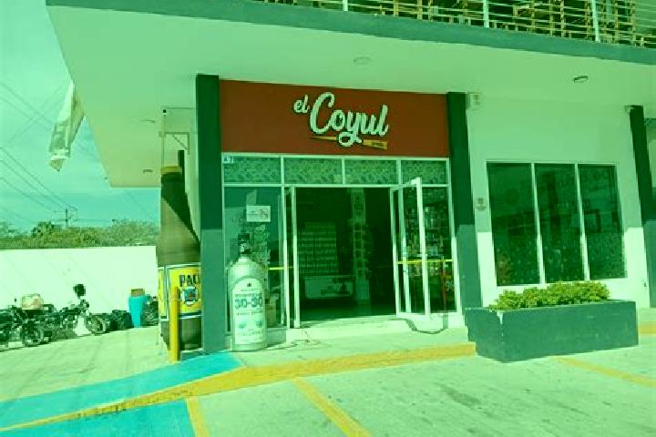 Sophia, 38 — Escort in El Coyul, Mexico