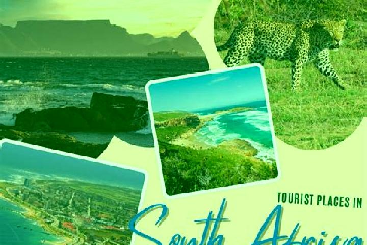 Sophia, 38 — Escort in Ga-Malakhe, South Africa