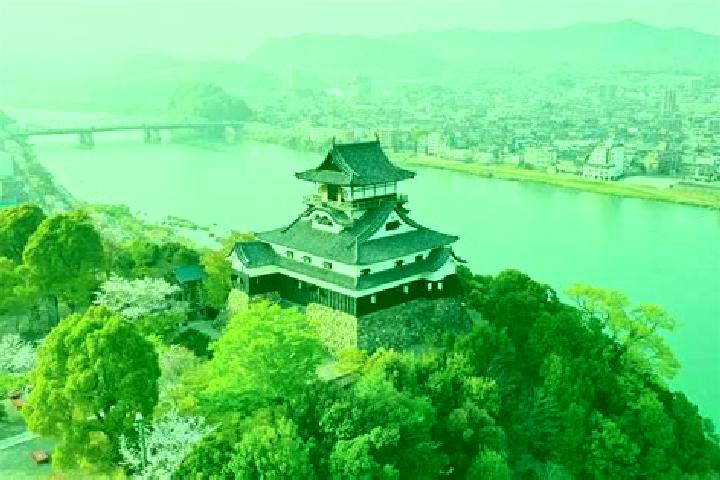 Sophia, 38 — Escort in Inuyama, Japan