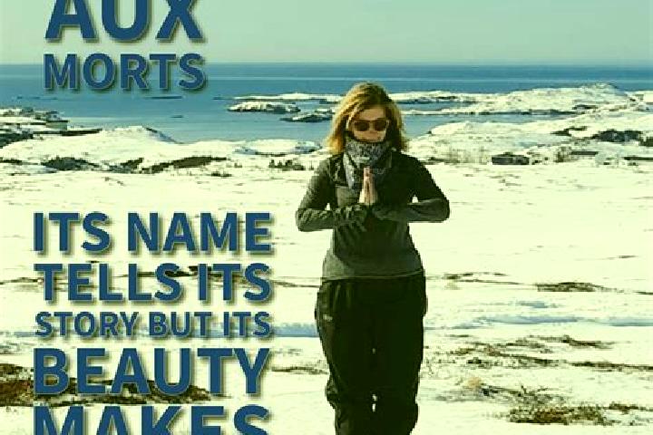 Sophia, 38 — Escort in Isle aux Morts, Canada