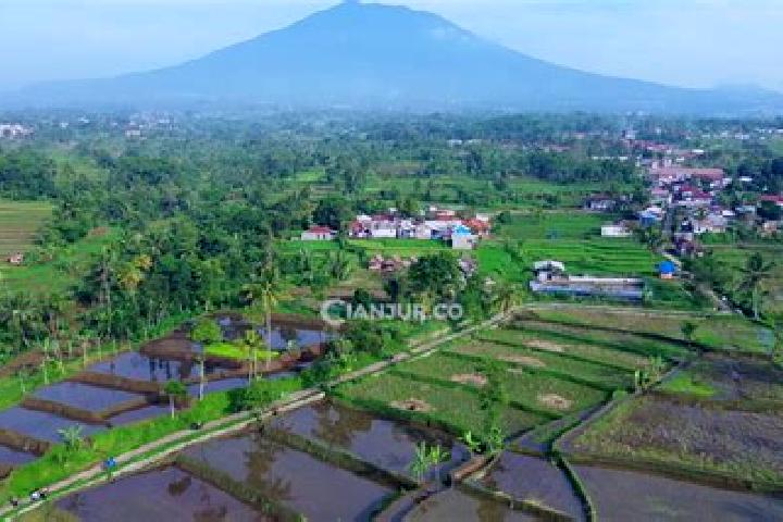 Sophia, 38 — Escort in Karangtengah, Indonesia