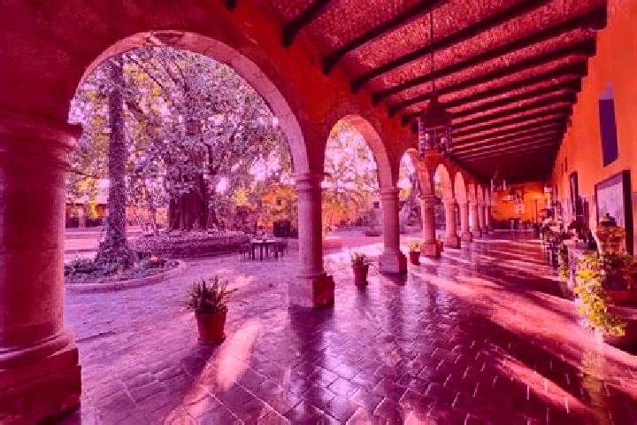 Sophia, 38 — Escort in Tepoztlan, Mexico