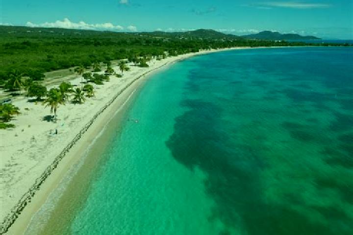 Sophia, 38 — Escort in Vieques, Puerto Rico