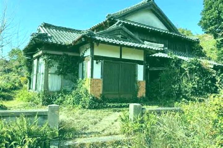 Sophia, 39 — Escort in Imabari, Japan