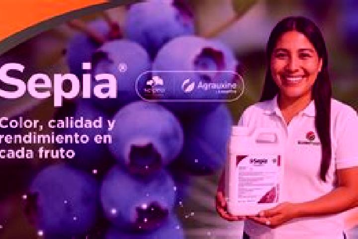 Sophia, 39 — Escort in Llipata, Peru