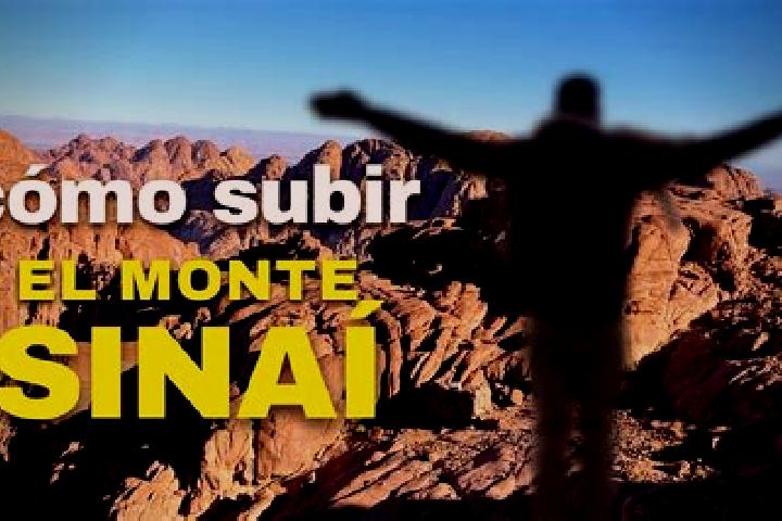 Sophia, 39 — Escort in Monte Sinai, Mexico