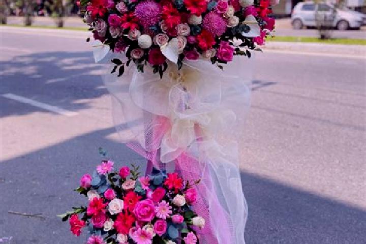 Stella, 20 — Escort in Chu Prong, Vietnam