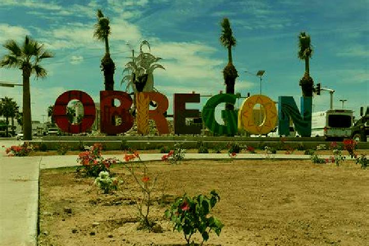 Stella, 20 — Escort in Cristobal Obregon, Mexico