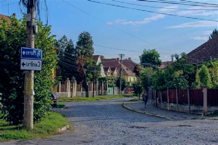 Stella, 20 — Escort in Milosesti, Romania