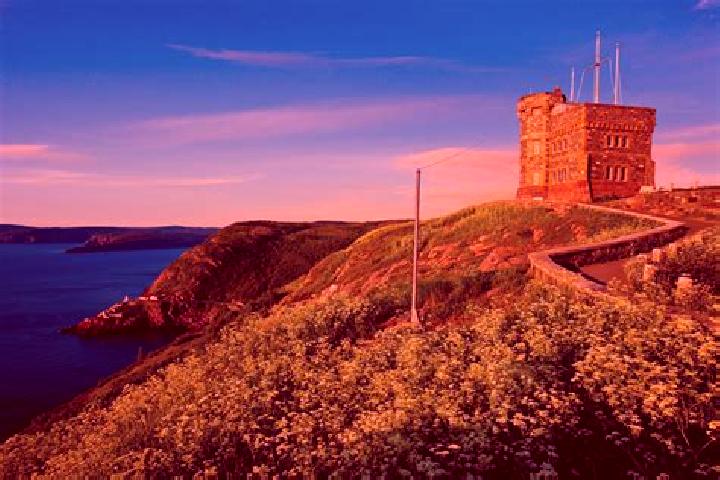 Stella, 20 — Escort in Signal Hill, United States