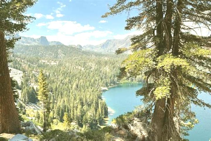 Stella, 21 — Escort in Mammoth Lakes, United States