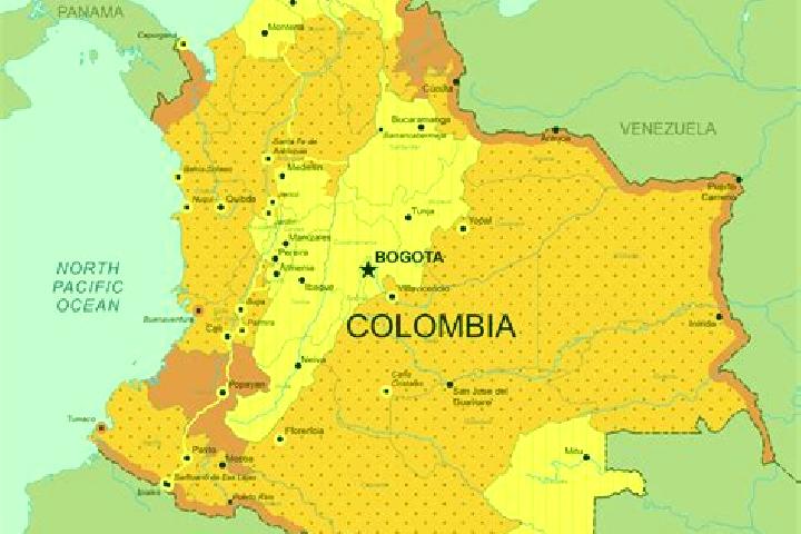 Stella, 21 — Escort in Regidor, Colombia