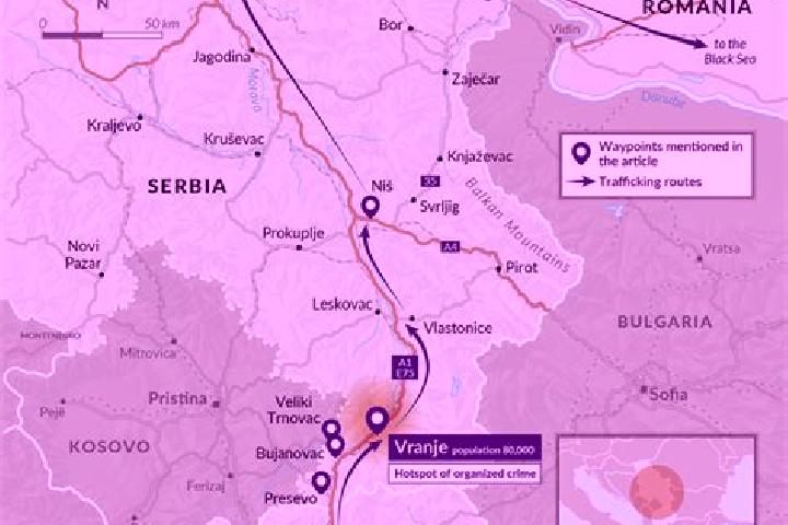 Stella, 21 — Escort in Vranje, Serbia