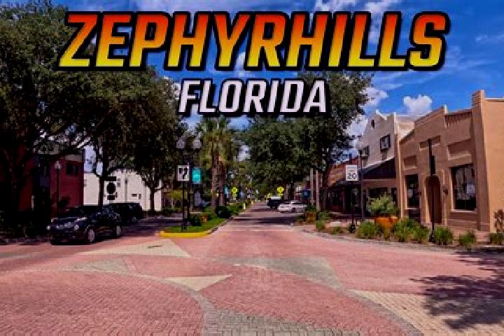 Stella, 21 — Escort in Zephyrhills West, United States