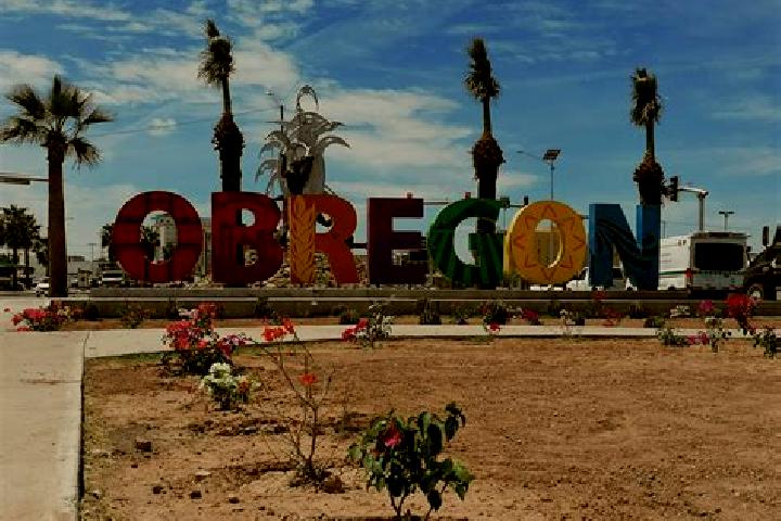 Stella, 22 — Escort in Alvaro Obregon, Mexico