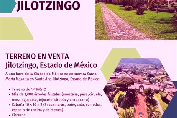 Stella, 22 — Escort in Santa Ana Jilotzingo, Mexico