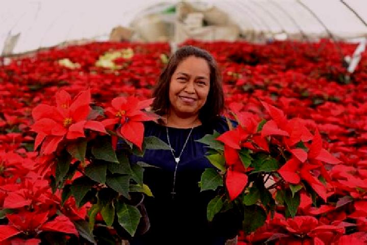 Stella, 22 — Escort in Viveros de la Loma, Mexico