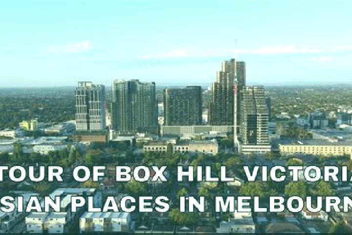 Stella, 23 — Escort in Box Hill South, Australia
