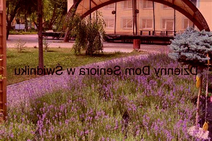 Stella, 23 — Escort in Melgiew, Poland