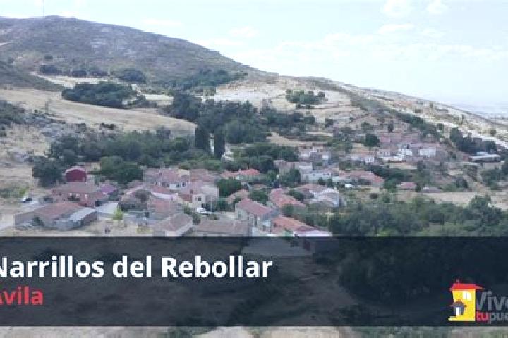 Stella, 23 — Escort in Narrillos del Rebollar, Spain