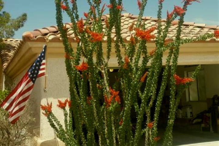 Stella, 23 — Escort in Ocotillo, Mexico