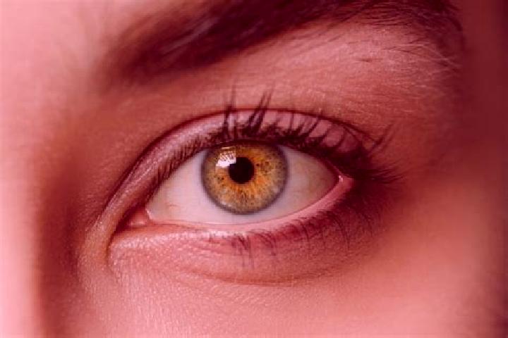 Stella, 24, a black hazel-eyed mixed companion based in Malakpur. Offering Girlfriend Experience, GFE, Erotic Massage. Available for incall and outcall, over...