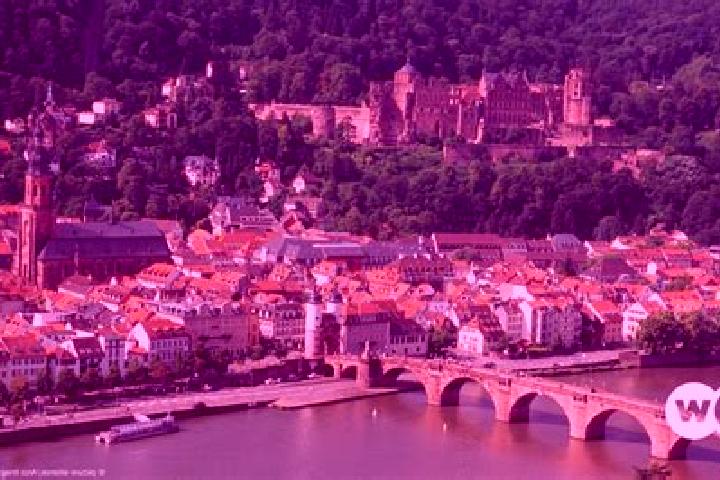 Stella, 24 — Escort in Buehl, Germany