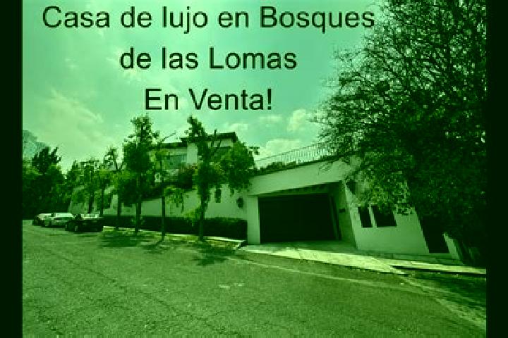 Stella, 24 — Escort in Col. Bosques de las Lomas, Mexico