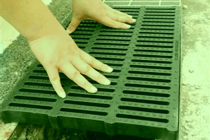 Stella, 24 — Escort in Drain, France
