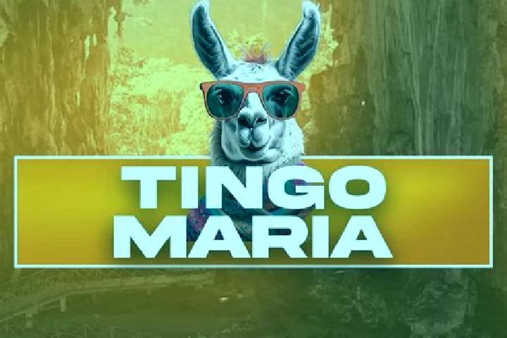Stella, 24 — Escort in Tingo Maria, Peru