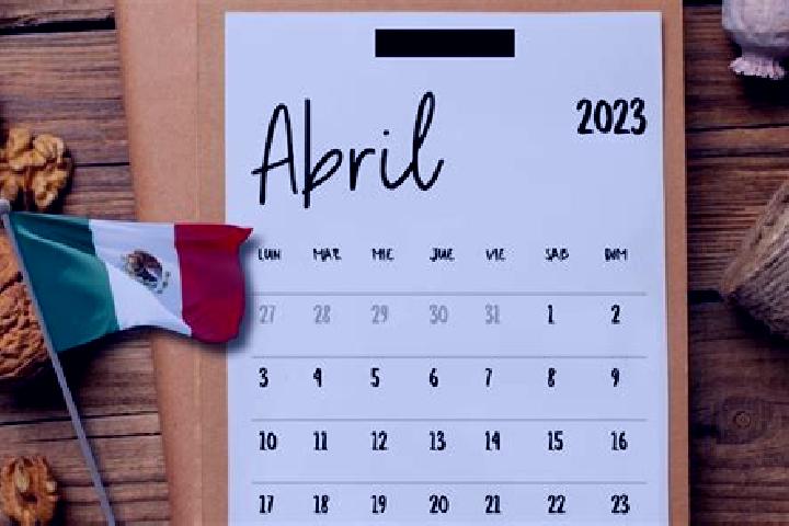 Stella, 24 — Escort in Unidad Habitacional 10 de Abril, Mexico