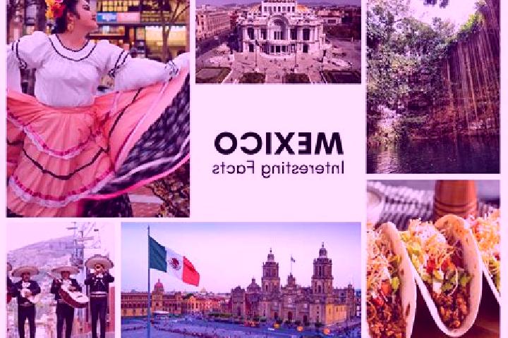 Stella, 24 — Escort in Zavala, Mexico
