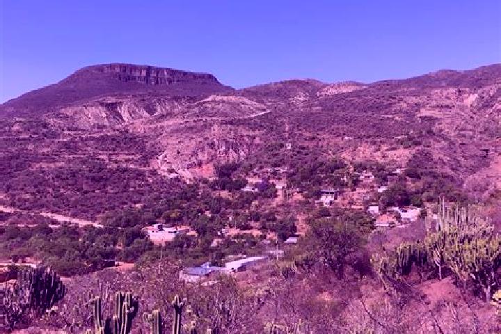 Stella, 25 — Escort in Cerro Colorado (El Colorado), Mexico