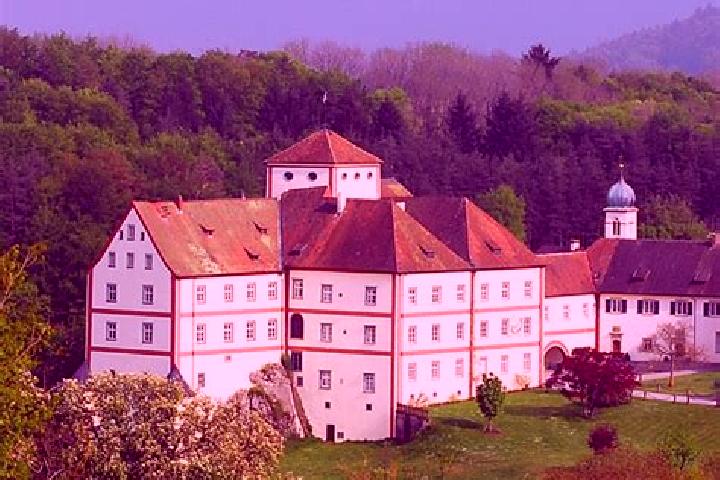 Stella, 25 — Escort in Langenstein, Germany