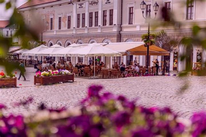 Stella, 26 — Escort in Alsozsolca, Hungary