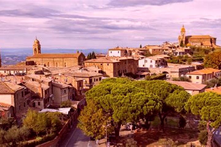 Stella, 26 — Escort in Montalcino, Italy