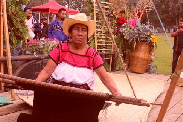 Stella, 26 — Escort in Santa Ana Tzacuala, Mexico