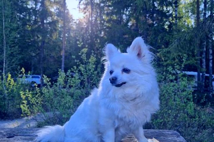 Stella, 26 — Escort in Saxdalen, Sweden
