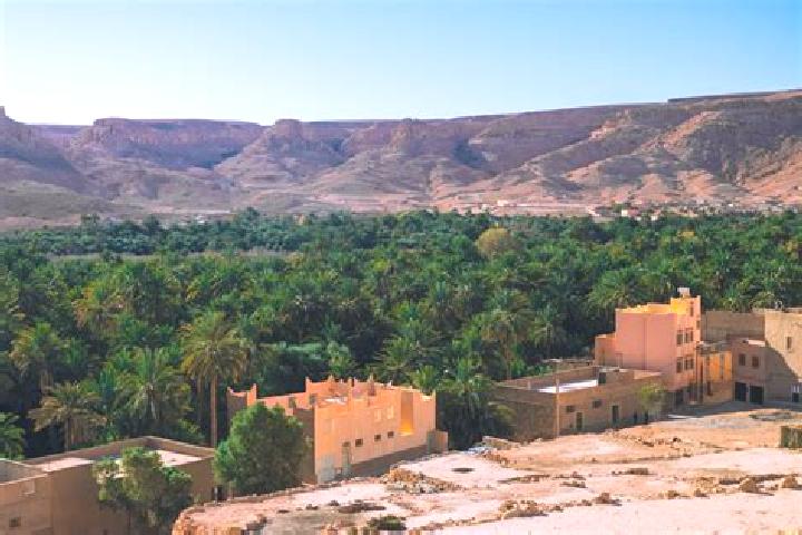 Stella, 26 — Escort in Zagora, Morocco