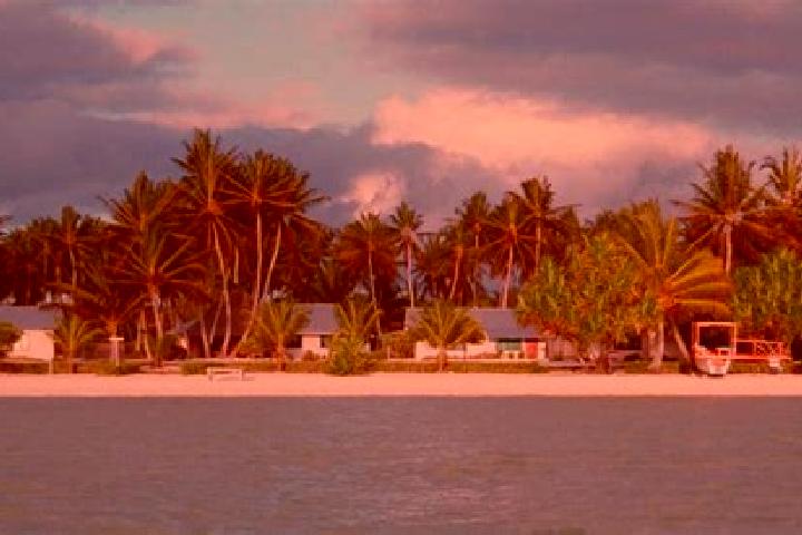 Stella, 27 — Escort in London Village, Kiribati