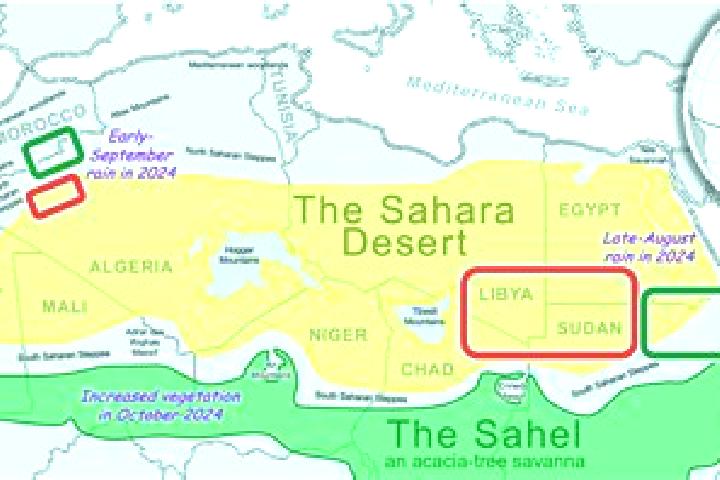 Stella, 28 — Escort in El Aargub, Western Sahara