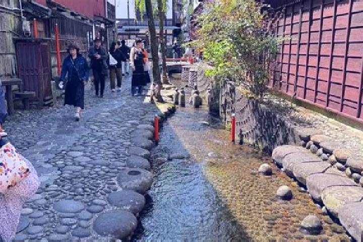 Stella, 28 — Escort in Hachimantai, Japan