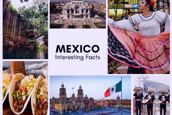 Stella, 28 — Escort in Huitzitzilapan, Mexico