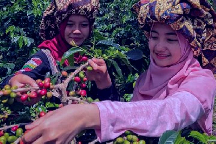 Stella, 28 — Escort in Onan Ganjang Satu, Indonesia